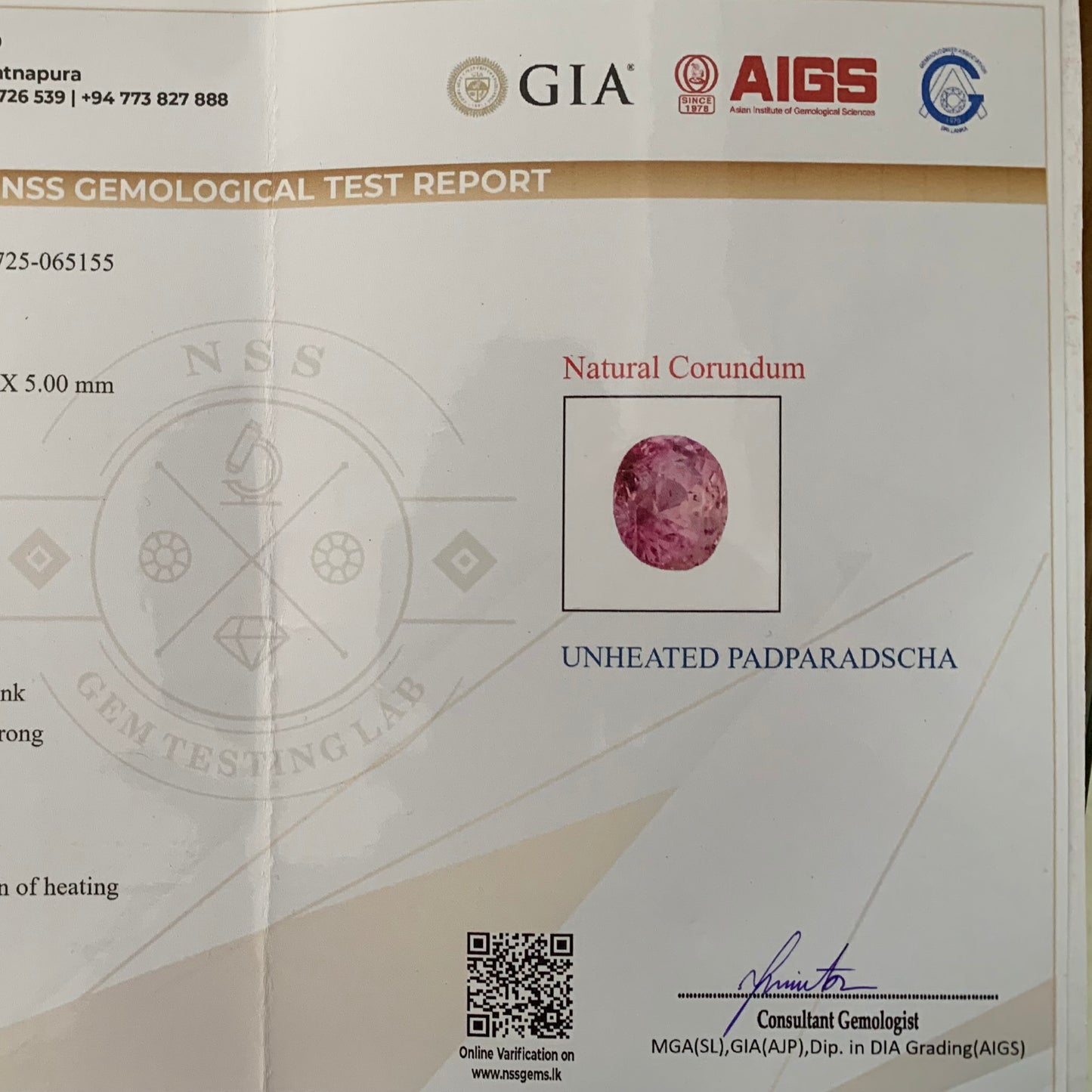Unheated Padparadscha Sapphire Oval 1.45 Ct Natural Loose Gemstone