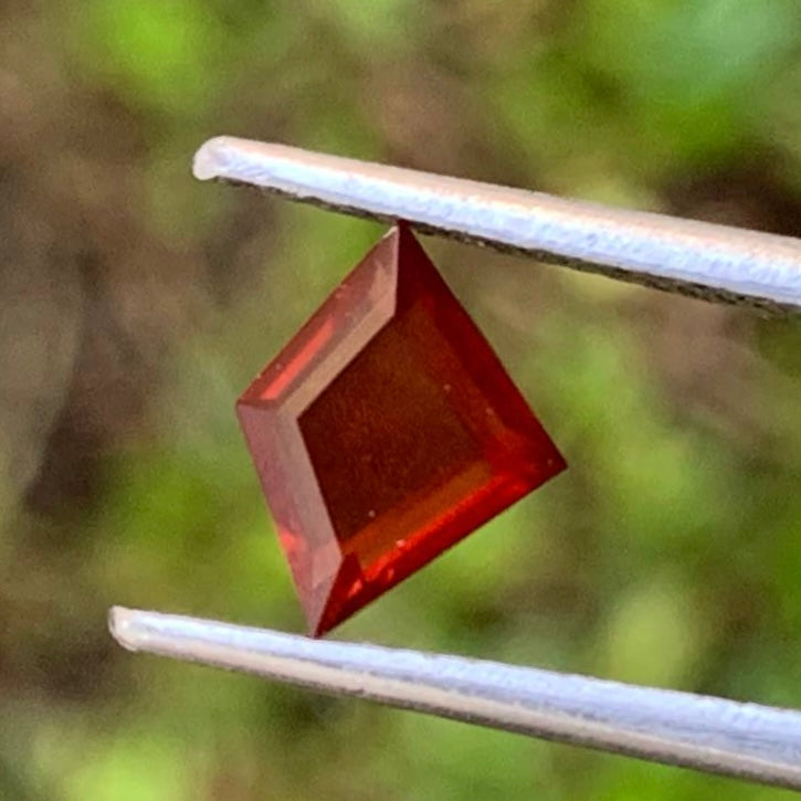 Portrait Cut Garnet Tablet Geometric Shape Kite 0.75 Ct Ceylon Natural Loose Gemstone