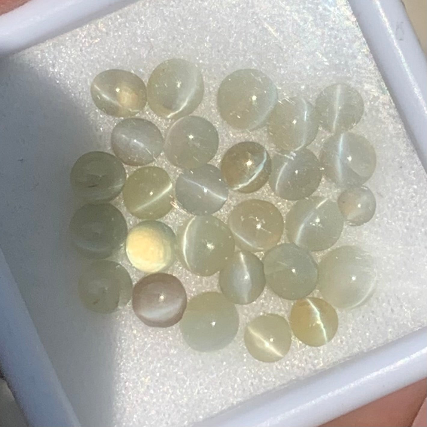 Chrysoberyl Cat’s Eye Cabochons 12.30 Ct / 28 Stones Natural Wholesale Loose Gemstone Parcel from Sri Lanka