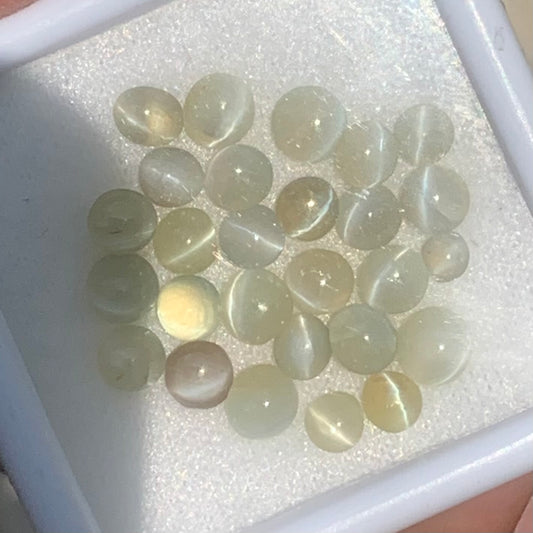 Chrysoberyl Cat’s Eye Cabochons 12.30 Ct / 28 Stones Natural Wholesale Loose Gemstone Parcel from Sri Lanka