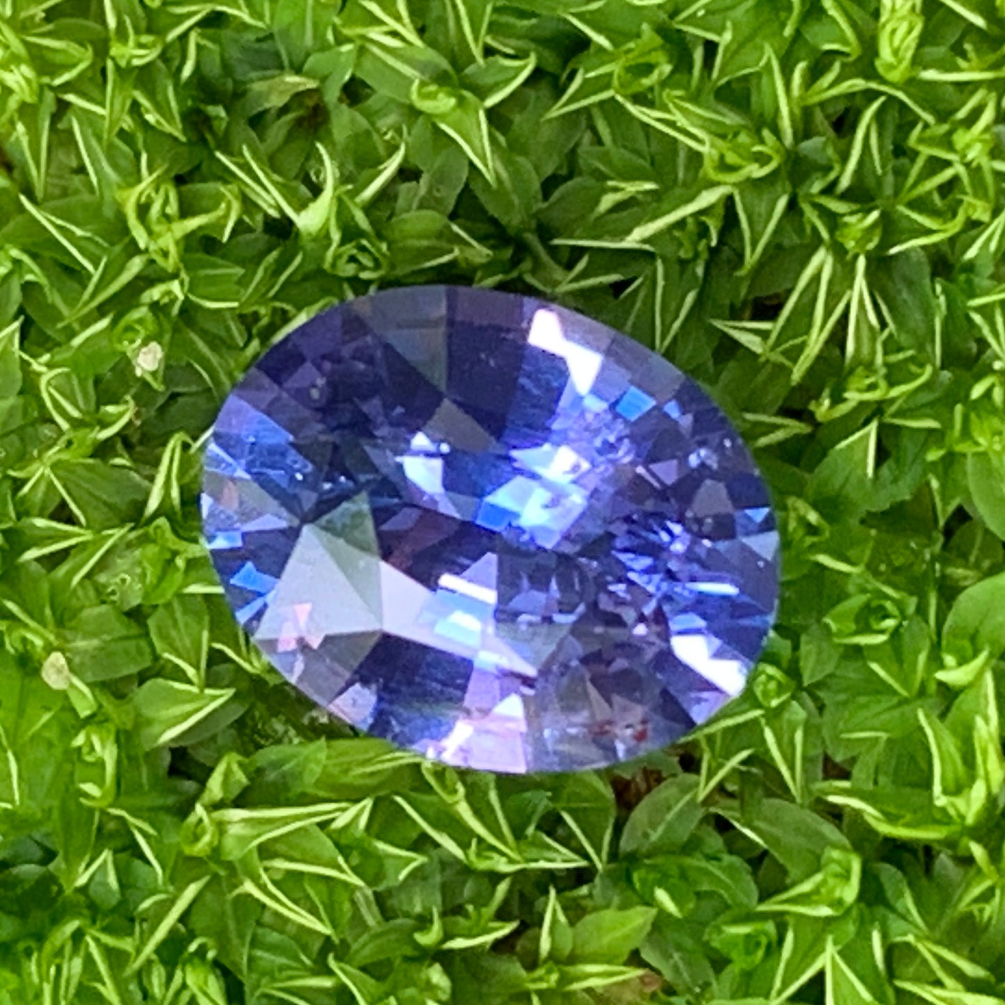 Unheated Violetish Blue Sapphire Certified Oval 1.26 Ct Natural Loose Gemstone