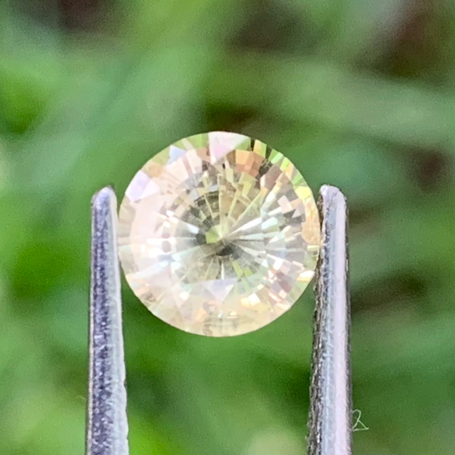 Yellow Sapphire 6.1 mm Round Heated Only 1.25 Ct Natural Loose Gemstone