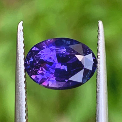 Bluish Purple Bicolor Sapphire Oval 1.48 Ct Heated Only Natural Loose Gemstone