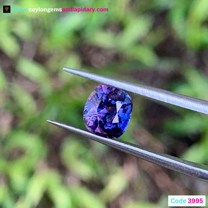 Blue &amp; Purple Bicolor Sapphire Rectangular Cushion Heated Only 1.64 Ct Natural Loose Gemstone For Jewelry Making 💎✨