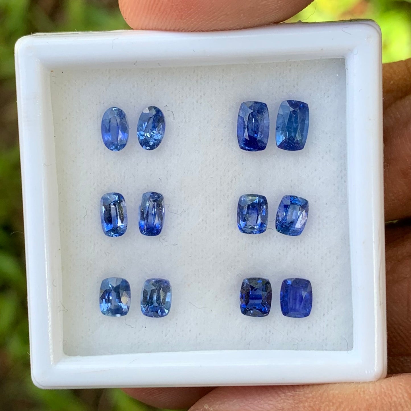 Blue Sapphire Heated Only 6 Pairs 4.6 Ct Natural Loose Gemstones For Earrings