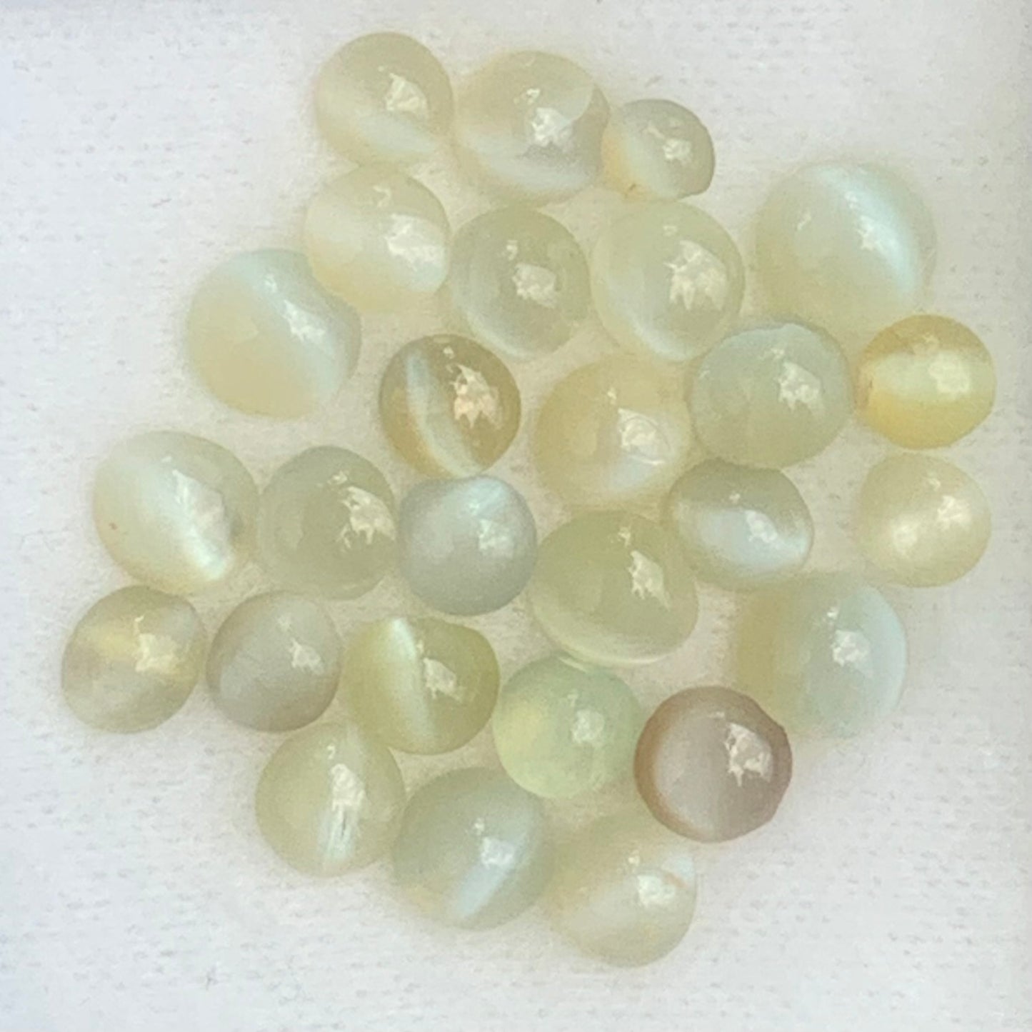 Chrysoberyl Cat’s Eye Cabochons 12.30 Ct / 28 Stones Natural Wholesale Loose Gemstone Parcel from Sri Lanka