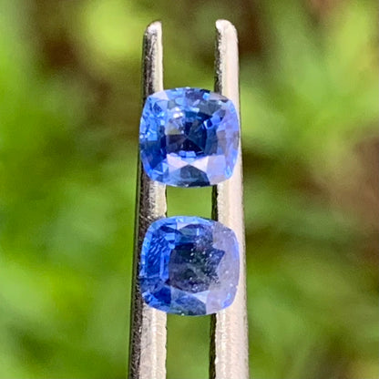 Blue Sapphire Cushion Pair 3.9 mm / 0.63 Ct Heated Only Natural Loose Gemstones for Earrings