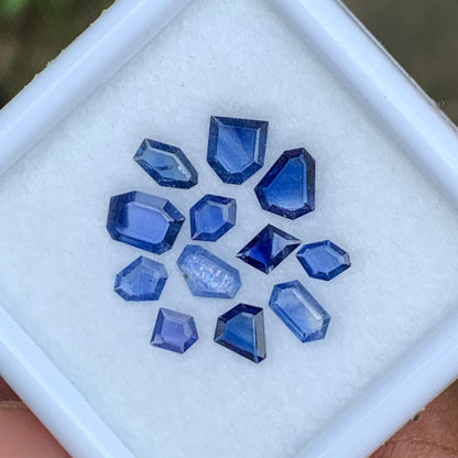 Blue Sapphire Portrait Cut Geometric Shape Tablets 3.08 Ct / 12 Gemstones Loose Gemstone Parcel For Jewelry Making 💎✨