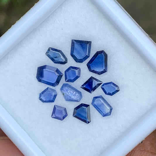 Blue Sapphire Portrait Cut Geometric Shape Tablets 3.08 Ct / 12 Gemstones Loose Gemstone Parcel For Jewelry Making 💎✨