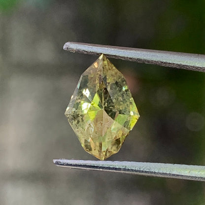 Chrysoberyl Fancy Cut Shield 2 ct Natural Loose Gem Stone From Sri Lanka
