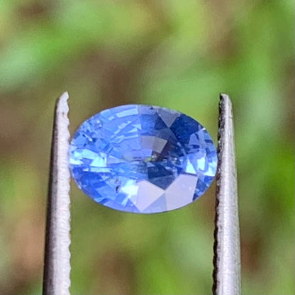 Blue Sapphire Oval 0.83 Ct Natural Loose Gemstone For Jewelry Making