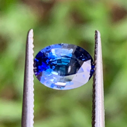 Blue Sapphire Oval 0.91 Ct Natural Loose Gemstone For Jewelry Making