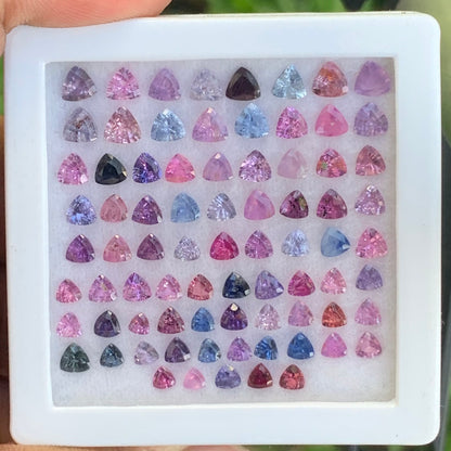 Unheated Sapphire Trillions Multicolor Loose Gem Parcel of 14.31 Ct / 78 Natural Gemstones