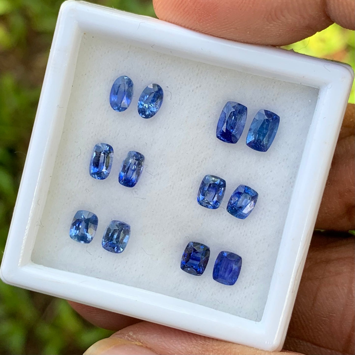 Blue Sapphire Heated Only 6 Pairs 4.6 Ct Natural Loose Gemstones For Earrings