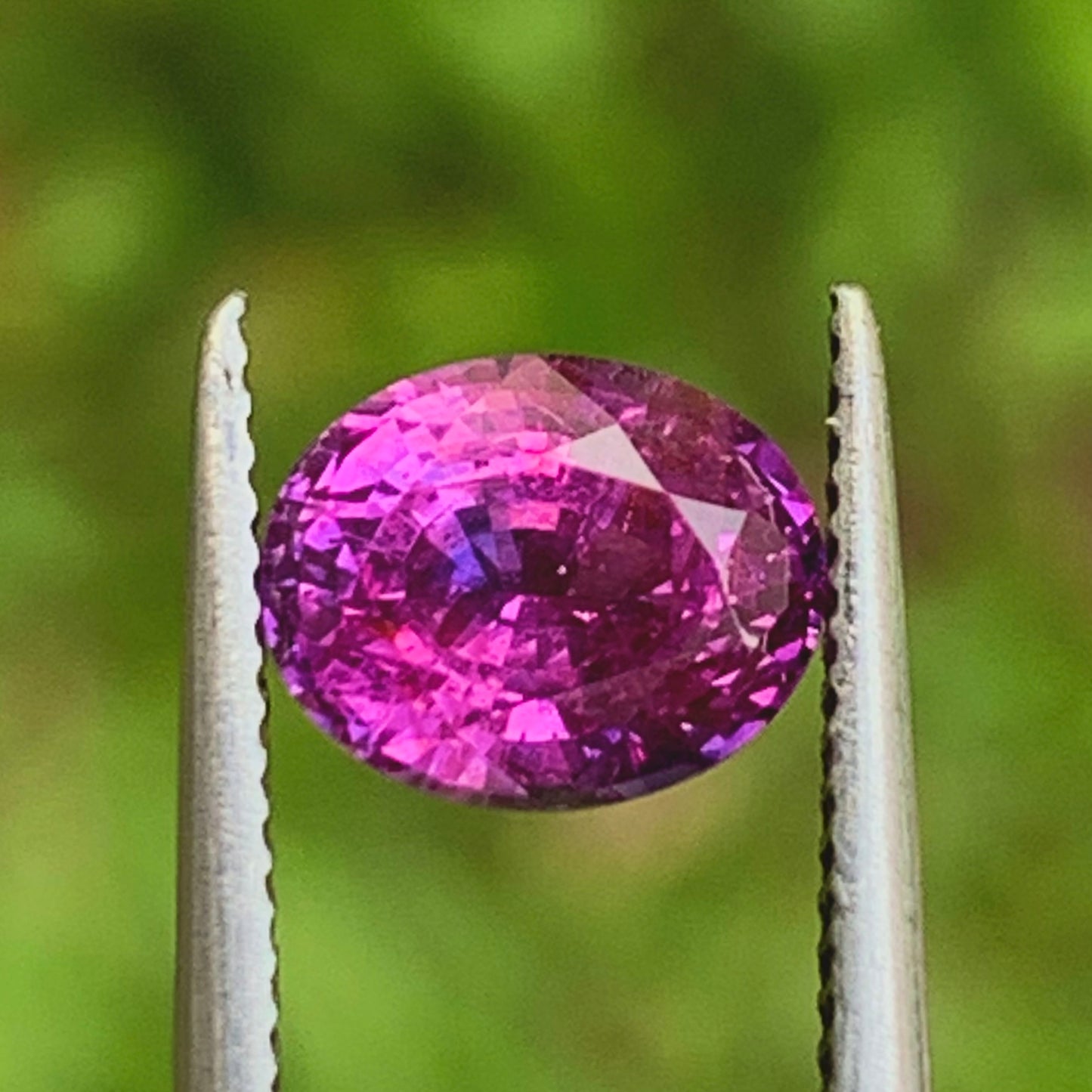 Bicolor Sapphire Oval Pink & Purple 1.31 Ct Heated Only Natural Loose Gemstone