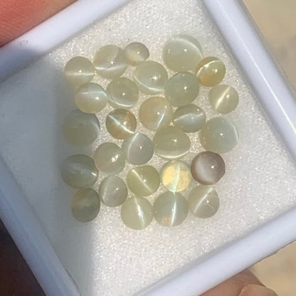 Chrysoberyl Cat’s Eye Cabochons 12.30 Ct / 28 Stones Natural Wholesale Loose Gemstone Parcel from Sri Lanka