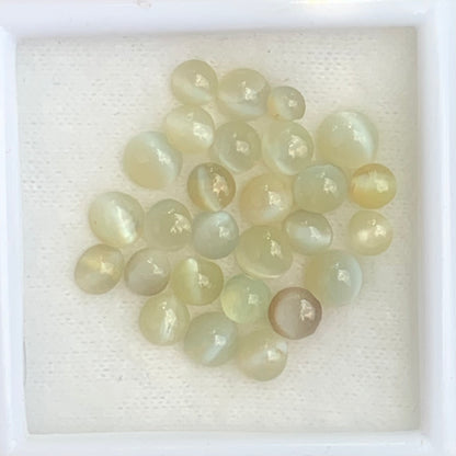 Chrysoberyl Cat’s Eye Cabochons 12.30 Ct / 28 Stones Natural Wholesale Loose Gemstone Parcel from Sri Lanka