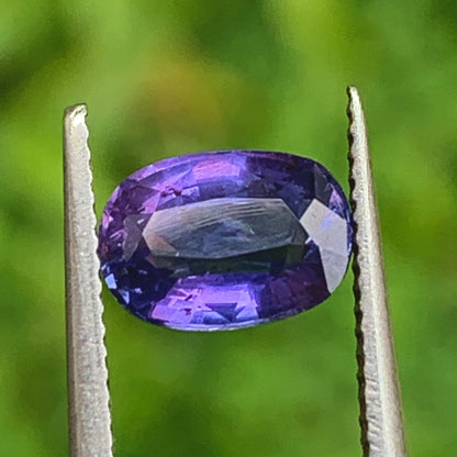Natural Unheated Color Change Sapphire Rectangular Cushion 1.24 Ct Certified Loose Gemstone From Sri Lanka