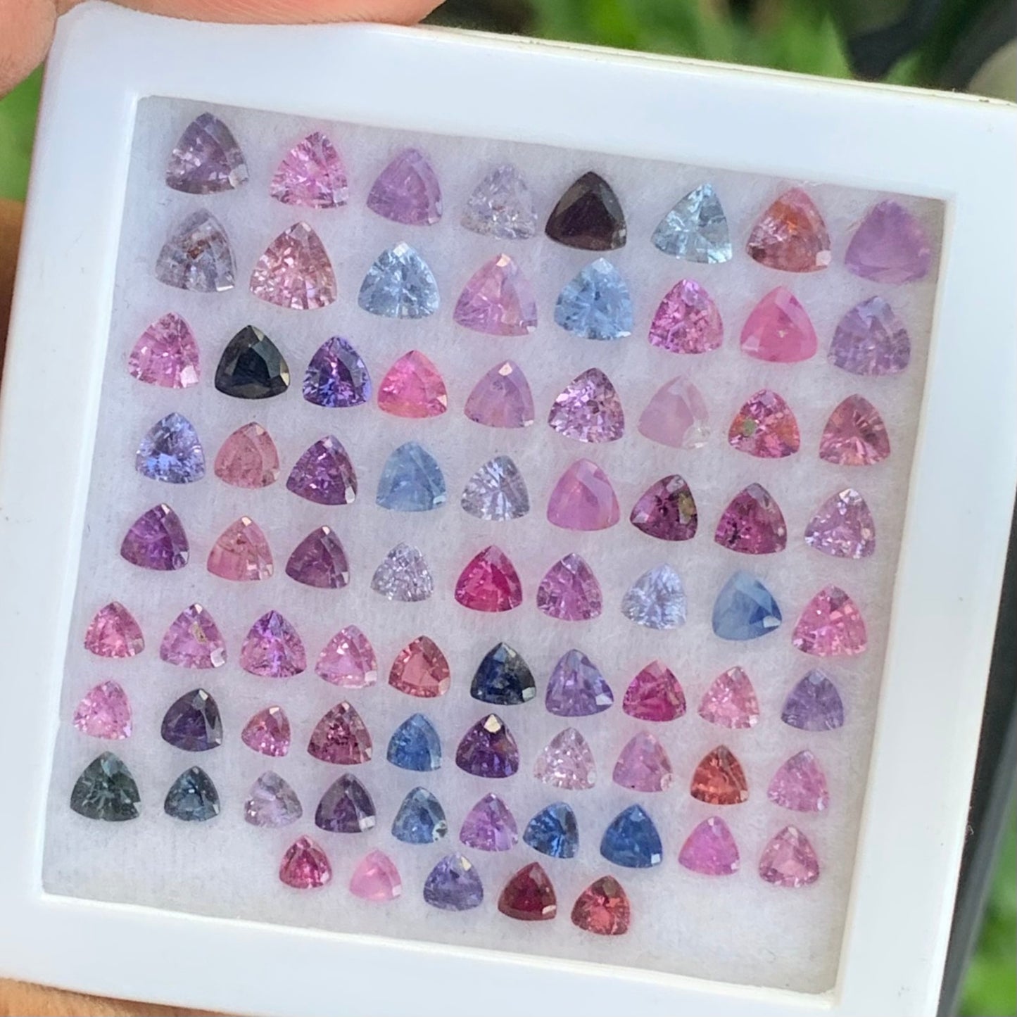 Unheated Sapphire Trillions Multicolor Loose Gem Parcel of 14.31 Ct / 78 Natural Gemstones