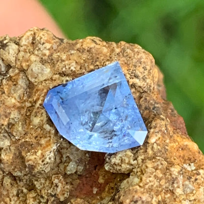 Blue Sapphire Curved Trillion 1.30 Ct Natural Heated Only Loose Gemstone from Sri Lanka