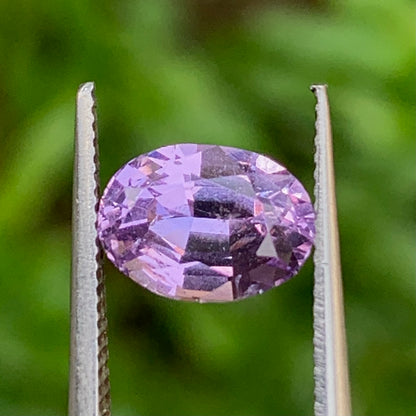 Violet Spinel Certified Oval 1.68 Ct Natural Loose Gemstone