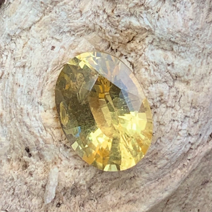 Yellow Sapphire Certified Oval Heated Only 1.62 Ct Natural Loose Gemstone for Jewelry Making
