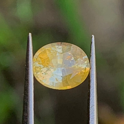 Yellow Sapphire Oval 1.32 Ct Natural Loose Gemstone For Jewelry Making