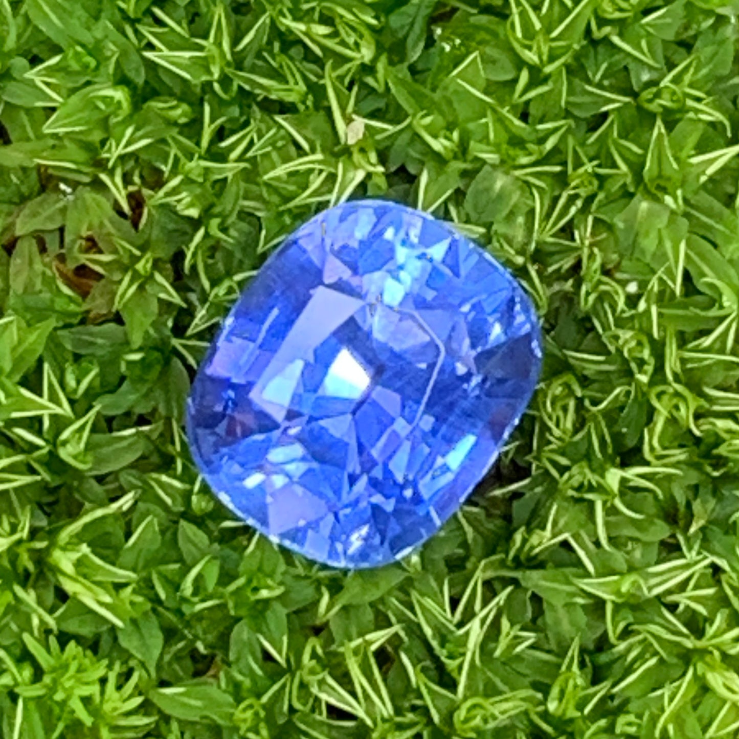 Unheated Vivid Blue Sapphire Certified Rectangular Cushion 2.08 Ct Natural Loose Gemstone