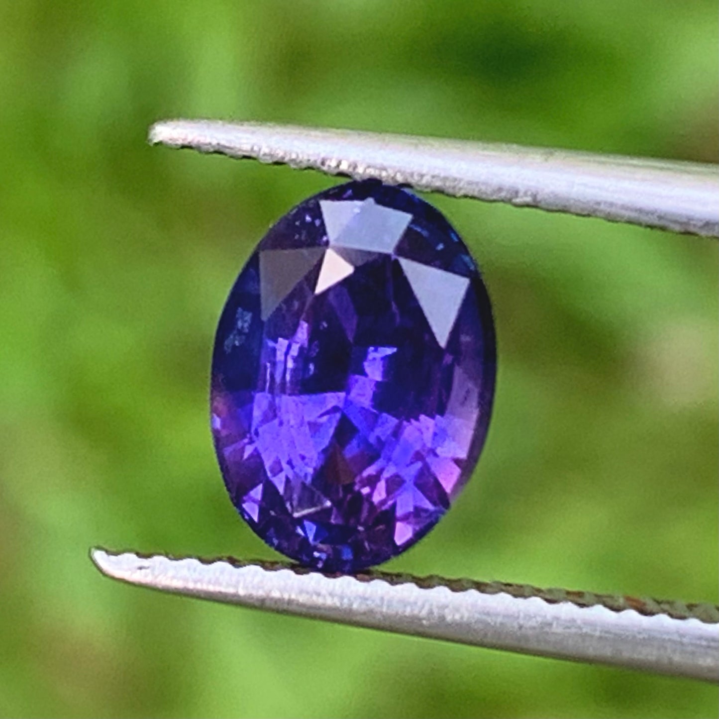 Bluish Purple Bicolor Sapphire Oval 1.48 Ct Heated Only Natural Loose Gemstone