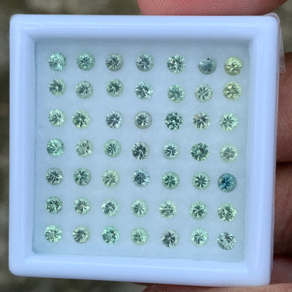 Green Sapphire 2.7 mm Rounds 4.8 Ct Loose Gemstone Parcel of 49 Stones
