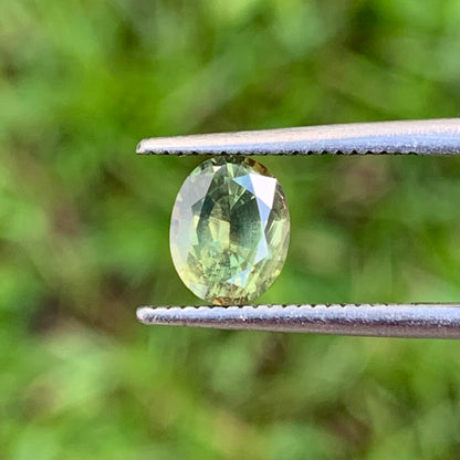 Green Zircon Oval 1.10 ct Natural Unheated Loose Gemstone From Sri Lanka.