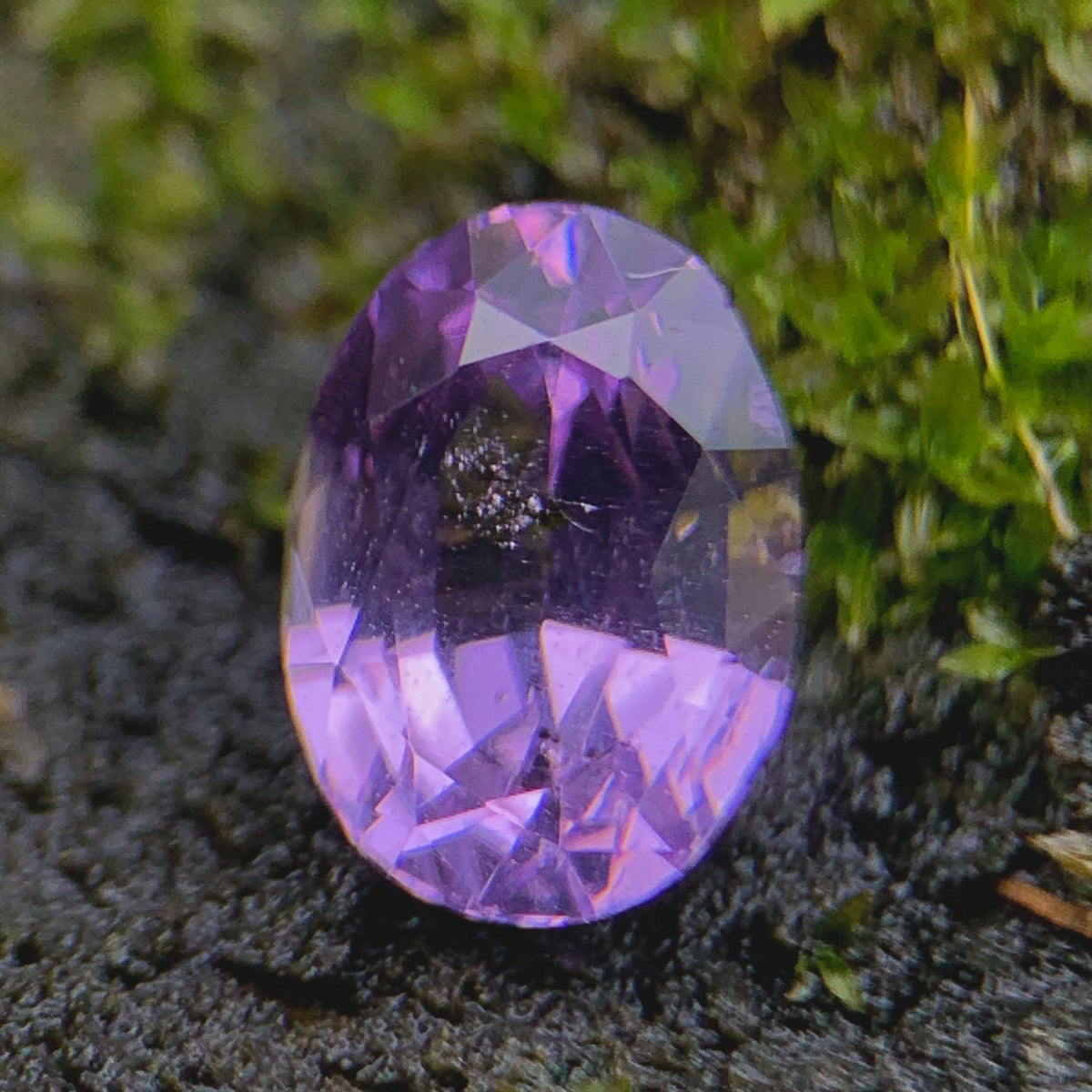 Violet Spinel Certified Oval 1.68 Ct Natural Loose Gemstone