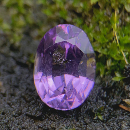 Violet Spinel Certified Oval 1.68 Ct Natural Loose Gemstone
