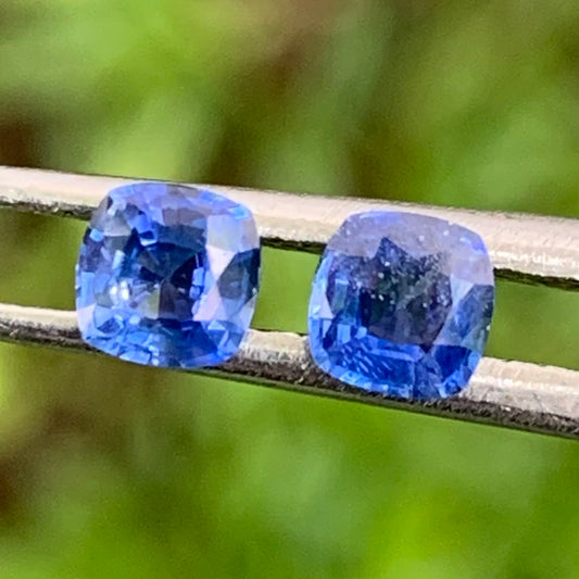 Blue Sapphire Cushion Pair 3.9 mm / 0.63 Ct Heated Only Natural Loose Gemstones for Earrings