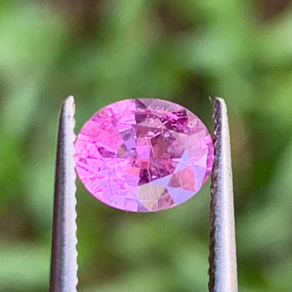Pink Sapphire Oval 0.87 Ct Natural Loose Gemstone For Jewelry Making 💎✨