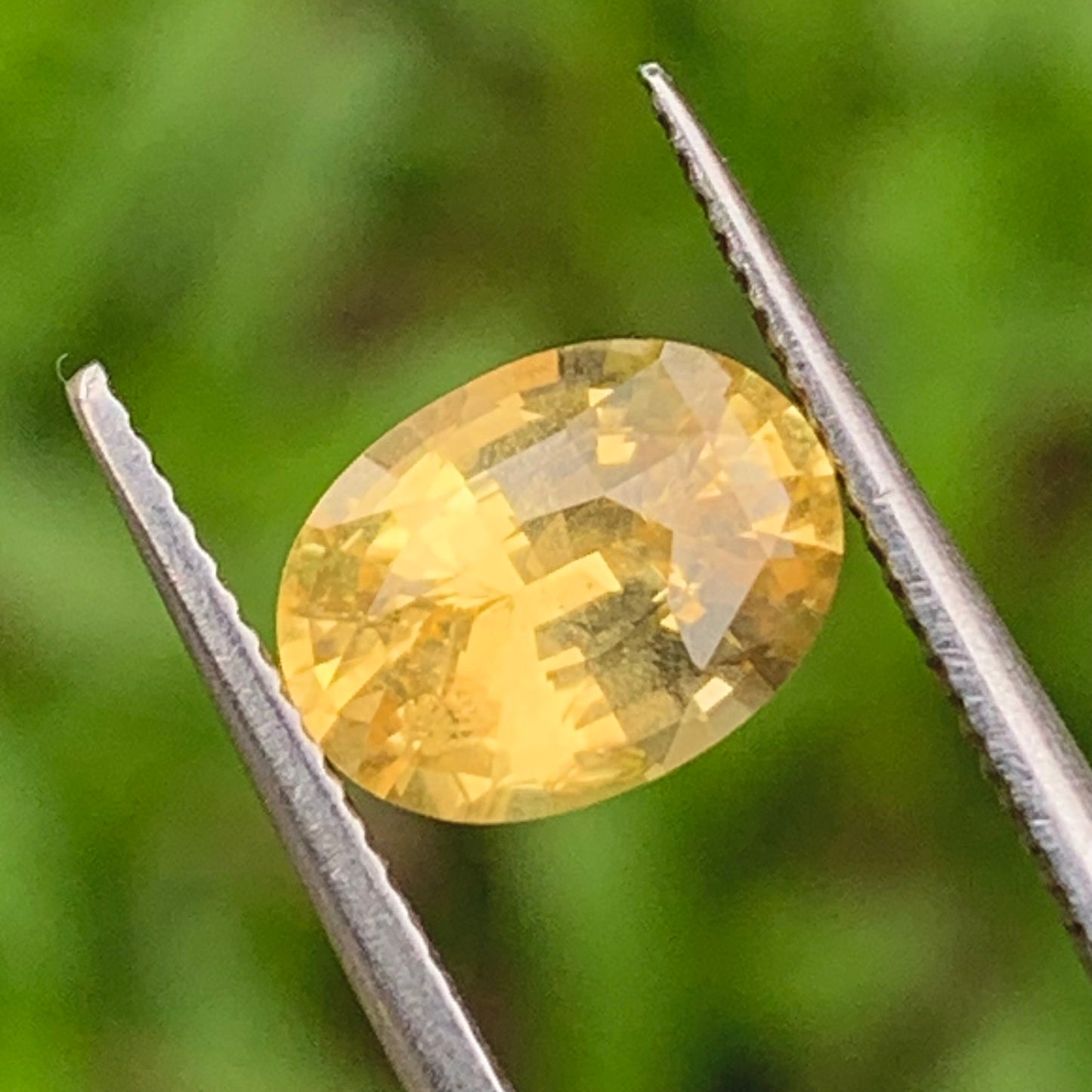 Yellow Sapphire Certified Oval Heated Only 1.62 Ct Natural Loose Gemstone for Jewelry Making