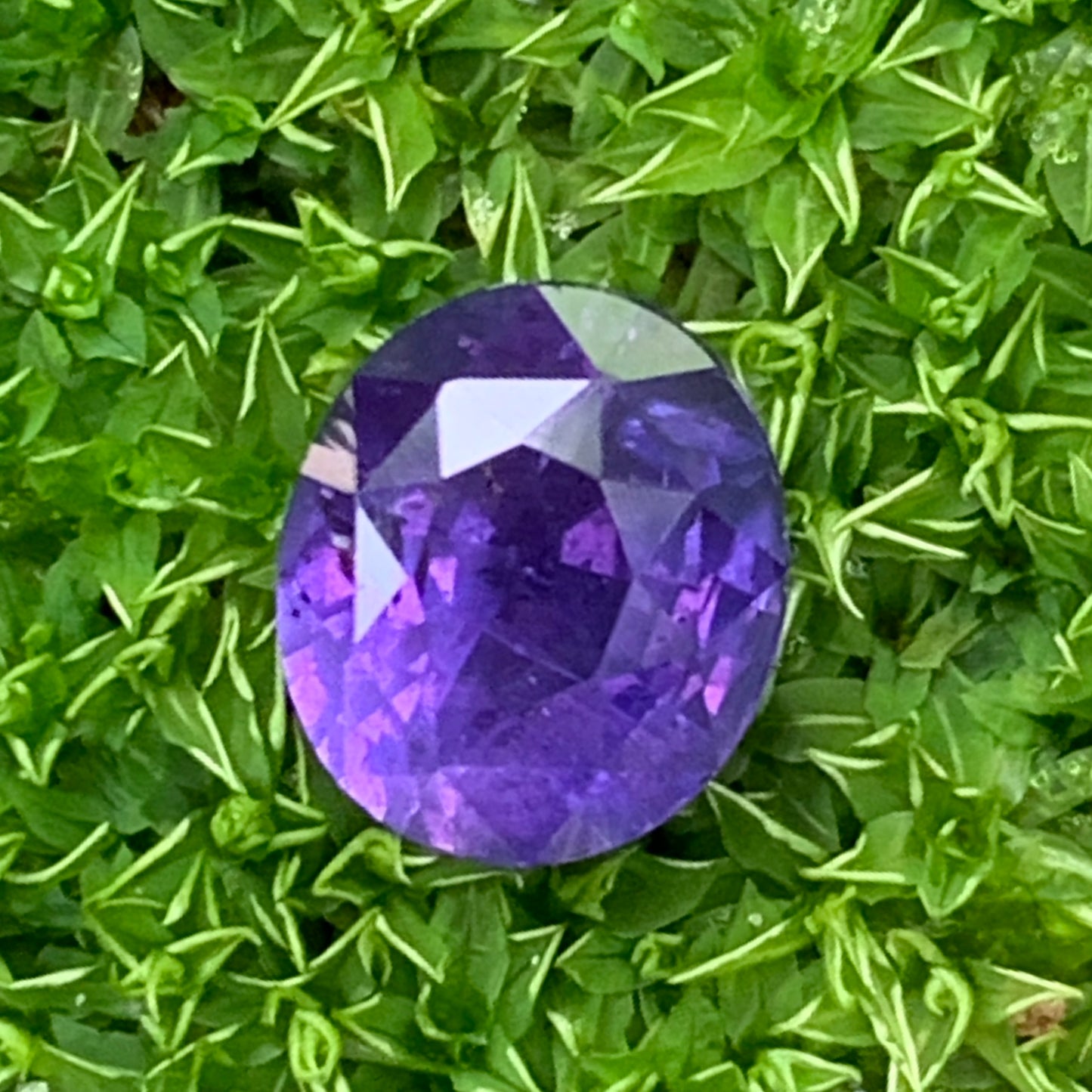 Unheated Violetish Blue Sapphire Certified Oval 1.59 Ct Natural Loose Gemstone