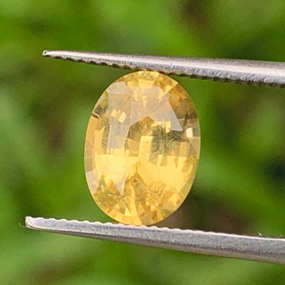 Yellow Sapphire Certified Oval Heated Only 1.62 Ct Natural Loose Gemstone for Jewelry Making