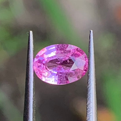 Pink Sapphire Oval 0.80 Ct Natural Loose Gemstone For Jewelry Making