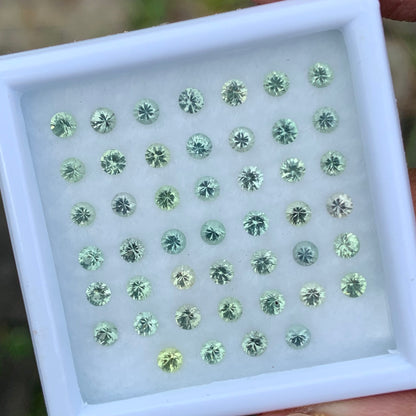 Green Sapphire 2.5 mm Rounds 3.71 Ct Loose Gemstone Parcel of 46 Stones