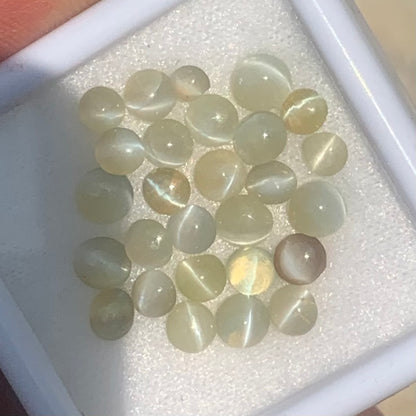 Chrysoberyl Cat’s Eye Cabochons 12.30 Ct / 28 Stones Natural Wholesale Loose Gemstone Parcel from Sri Lanka