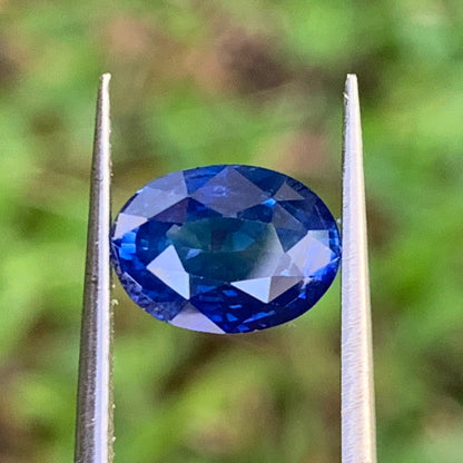 Blue Sapphire Oval Heated Only 3.05 Ct Natural Loose Gemstone for Jewelry Making