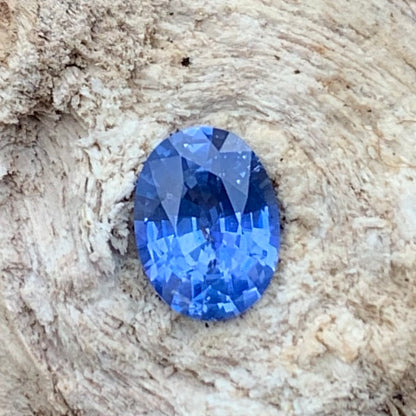 Blue Sapphire Oval 0.83 Ct Natural Loose Gemstone For Jewelry Making