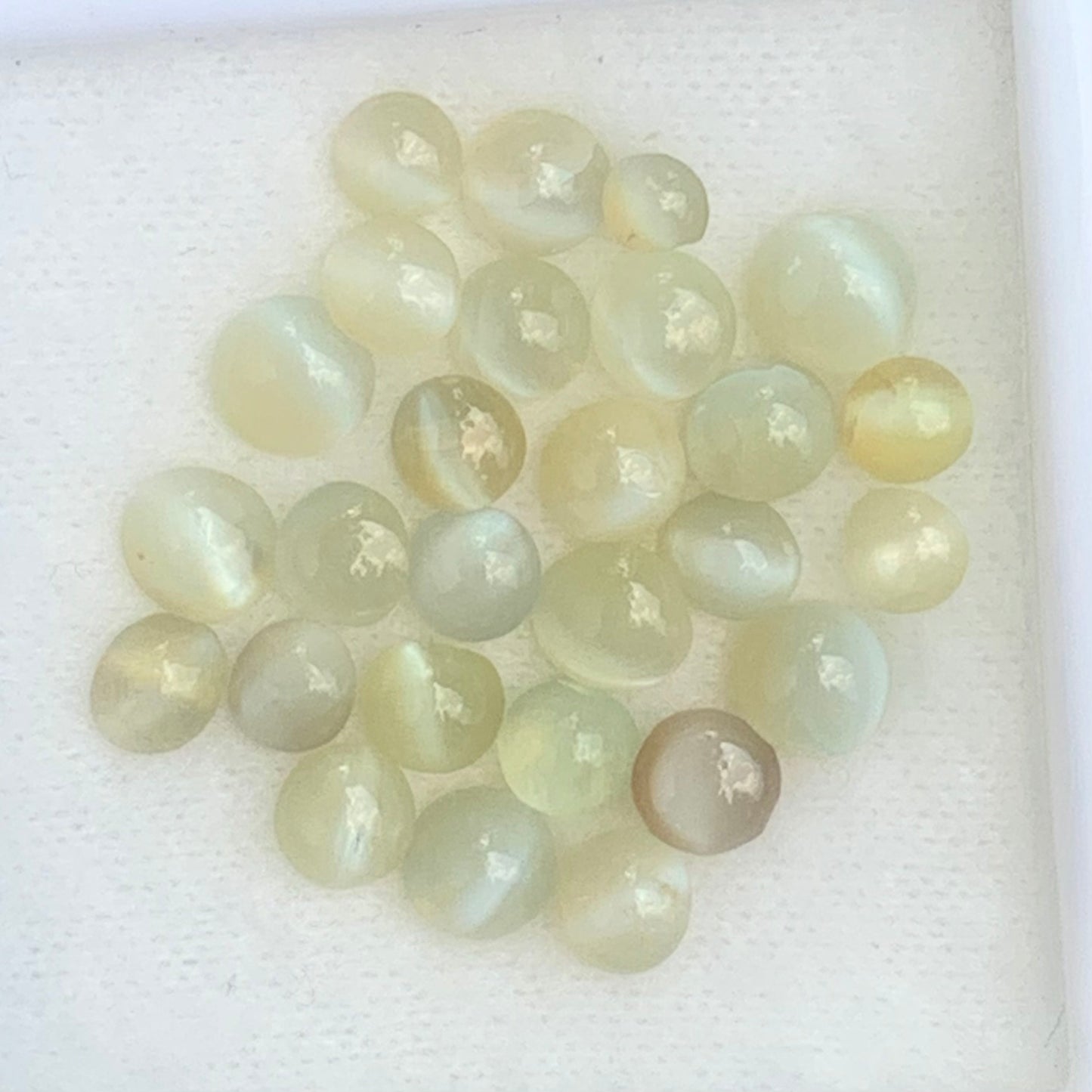 Chrysoberyl Cat’s Eye Cabochons 12.30 Ct / 28 Stones Natural Wholesale Loose Gemstone Parcel from Sri Lanka