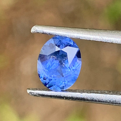 Blue Sapphire Oval 0.80 Ct Natural Heated Only Loose Gemstone from Sri Lanka
