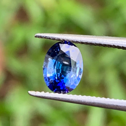 Blue Sapphire Oval 0.91 Ct Natural Loose Gemstone For Jewelry Making