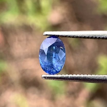 Blue Sapphire Oval 0.69 Ct Heated Only Natural Loose Gemstone For Jewelry Making