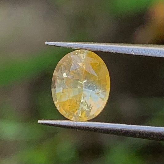Yellow Sapphire Oval 1.32 Ct Natural Loose Gemstone For Jewelry Making