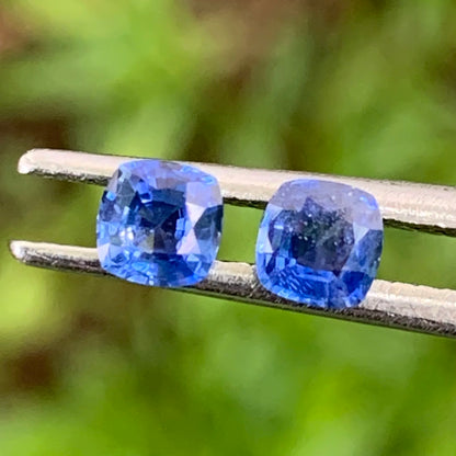 Blue Sapphire Cushion Pair 3.9 mm / 0.63 Ct Heated Only Natural Loose Gemstones for Earrings