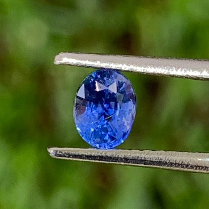 Blue Sapphire Oval 0.64 Ct Heated Only Natural Loose Gemstone For Jewelry Making